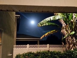 2015_pictures_2_20160622_1184250161