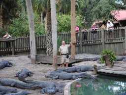 alligator_farm_st_augustine_-_fall_2011_1_20140123_2032785438