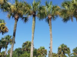 family_visit_2015_18_20160701_1549112237