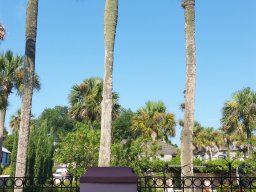 family_visit_2015_19_20160701_1826623702