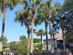 family_visit_2015_20_20160701_1444812037