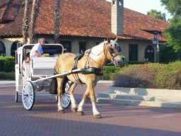 family_visit_2015_26_20160701_1776337582