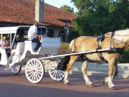 family_visit_2015_27_20160701_1303969092