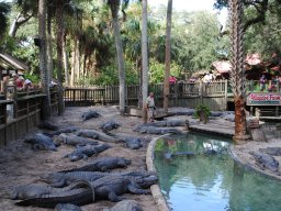 st_augustine_fl_pictures_20140114_1118833436