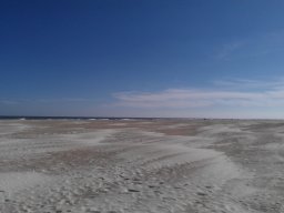 st_augustine_fl_pictures_20140114_2056811074